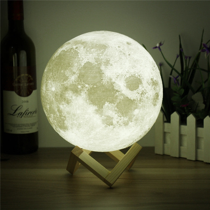 Moon On Earth Night Light